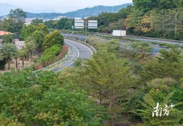 实力配资平台 如何绘就绿美公路新画卷？汕尾这样做