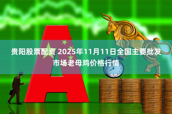 贵阳股票配资 2025年11月11日全国主要批发市场老母鸡价格行情