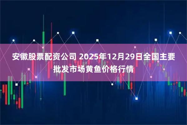 安徽股票配资公司 2025年12月29日全国主要批发市场黄鱼价格行情