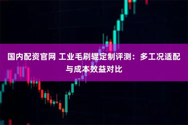国内配资官网 工业毛刷辊定制评测：多工况适配与成本效益对比